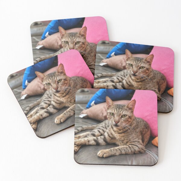 Item preview, Guard Cat designed and sold by benjaminzack.