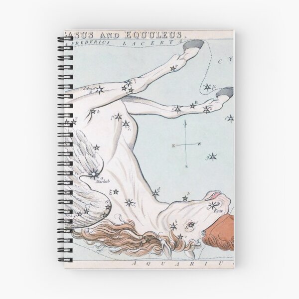 Item preview, Antique Constellation Map of Pegasus, Equuleus designed and sold by VintageArchive.