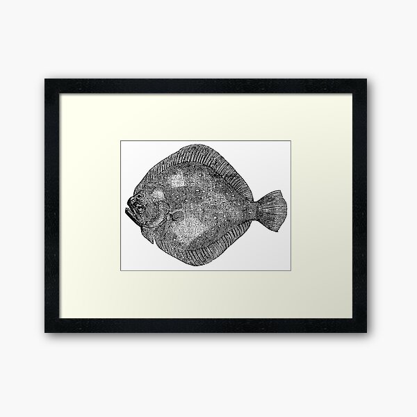 Item preview, Vintage Marine Turbot Flounder Fish Illustration Retro 1800s Black and White Image designed and sold by SilverSpiral.