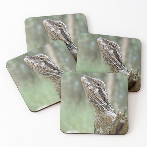 Item preview,  Eastern Bearded Dragon (Pogona barbata) designed and sold by Trent Townsend.