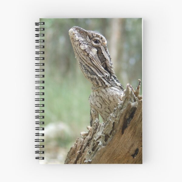 Item preview,  Eastern Bearded Dragon (Pogona barbata) designed and sold by Trent Townsend.