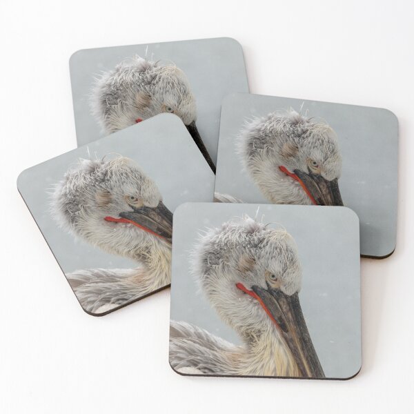 Item preview, Closeup of a Pelican designed and sold by pietrofoto.