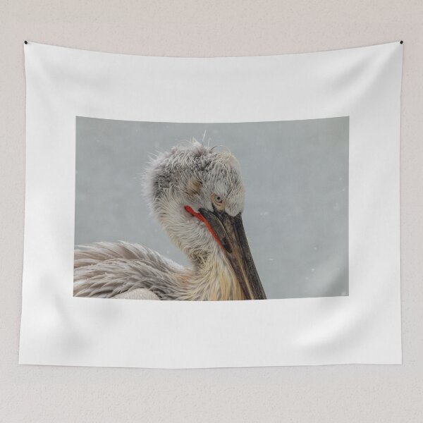 Item preview, Closeup of a Pelican designed and sold by pietrofoto.