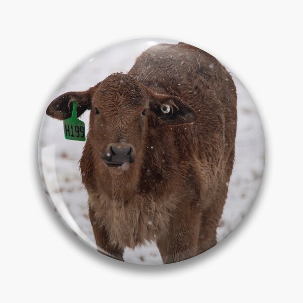 Item preview, Brahman calf designed and sold by jacindasgarner.