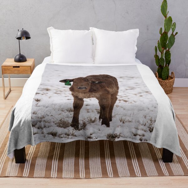 Item preview, Brahman calf designed and sold by jacindasgarner.