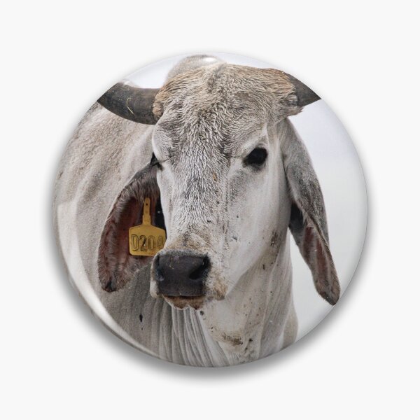 Item preview, White Brahman designed and sold by jacindasgarner.