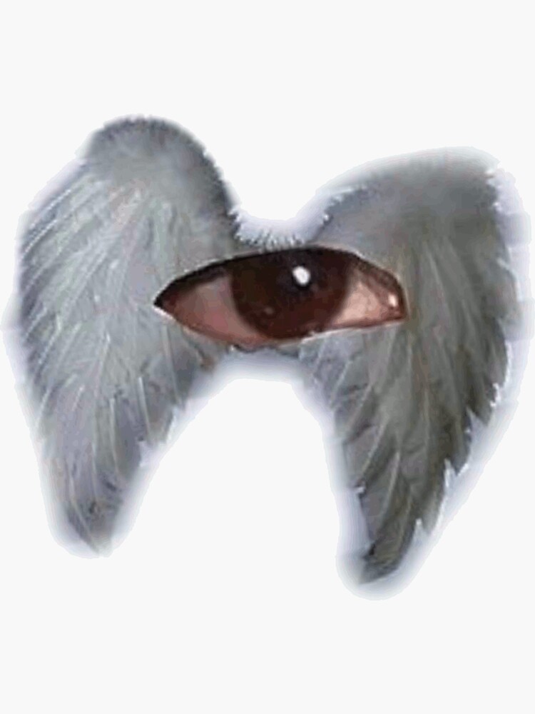 weirdcore #eye #🧿 #angels #wings #hello #sad?