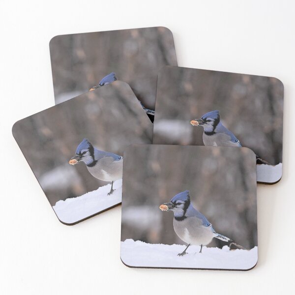 Item preview, Blue Jay With Peanut designed and sold by NicoleFrederick.