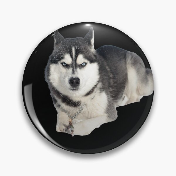 Item preview, Funny and cute group of Husky dogs pattern  designed and sold by Maystro-design.