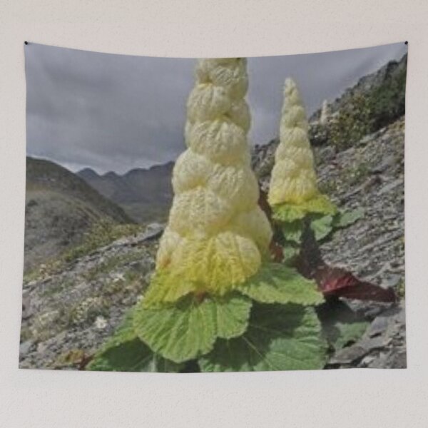 Item preview, Nice mountain greens. designed and sold by Lan thi Nguyen.