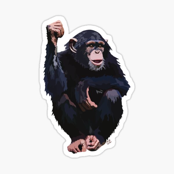 Goria , Gorilla , Gorilla Gifts , Fun , Joke , Animal , Ape , Primate ,  Chimpanzee , Chimp , Monkey , Apes , King Kong , Baboon - AliExpress