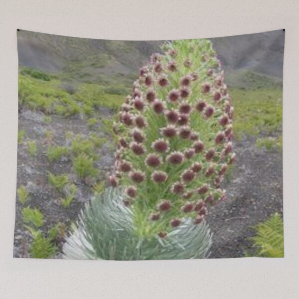 Item preview, Mountain nutrition herb. designed and sold by Lan thi Nguyen.