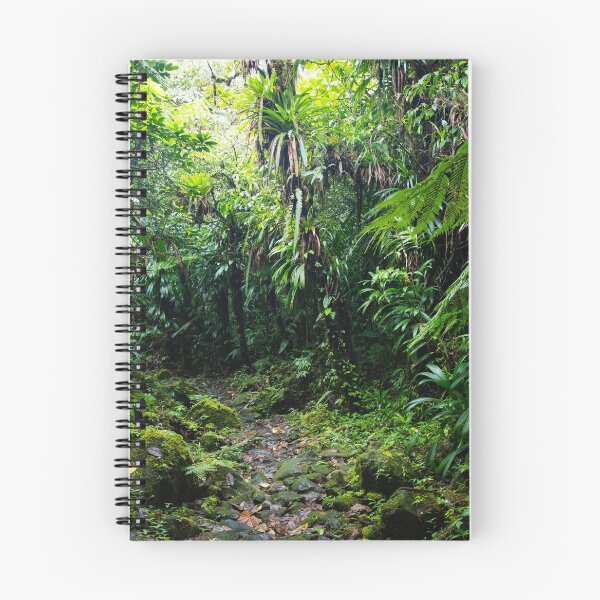 Item preview, Dominica Rainforest II designed and sold by Robert Gall Photography.