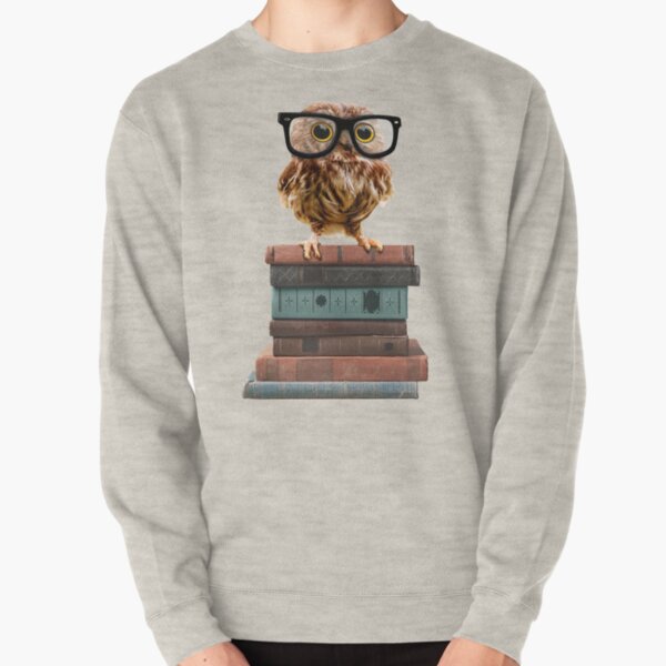 Adorable Nerdy Owl with Glasses on Books Pullover Sweatshirt