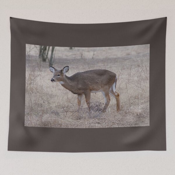 Item preview, Into The Wild  designed and sold by Lanis Rossi.