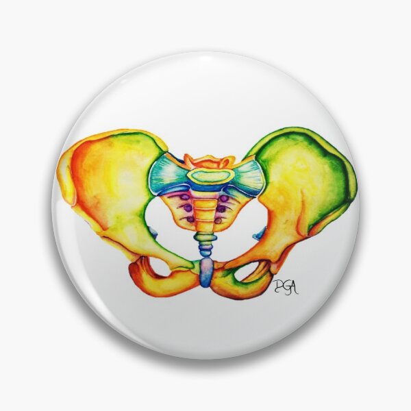 Item preview, Pelvis Anatomy designed and sold by DanielaGaleanoA.