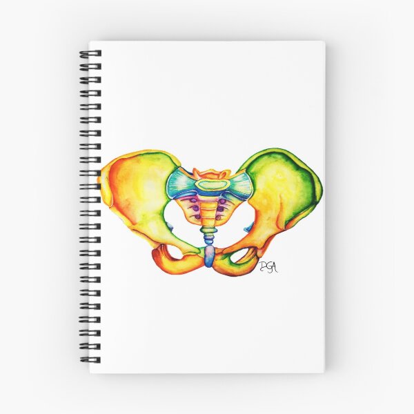 Item preview, Pelvis Anatomy designed and sold by DanielaGaleanoA.
