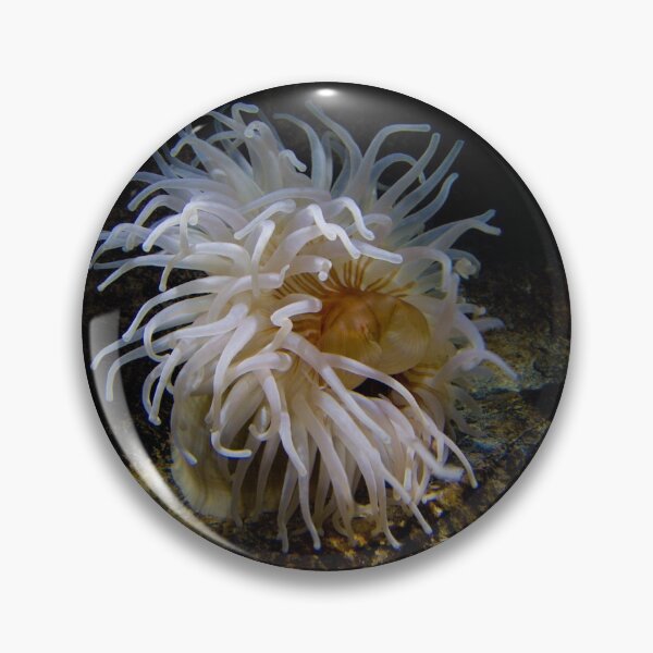 Item preview, anenome designed and sold by bcash.