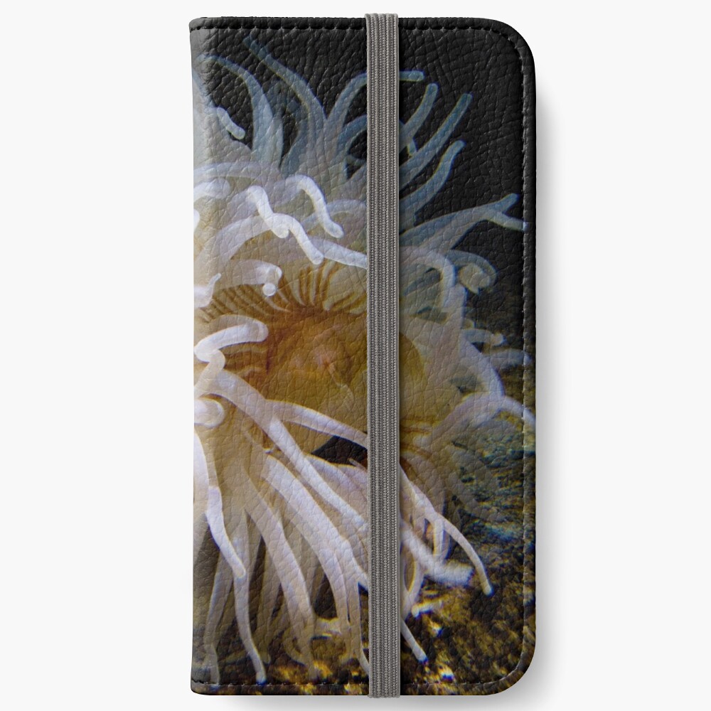 anenome iPhone Wallet