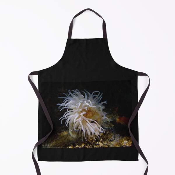 Item preview, anenome designed and sold by bcash.