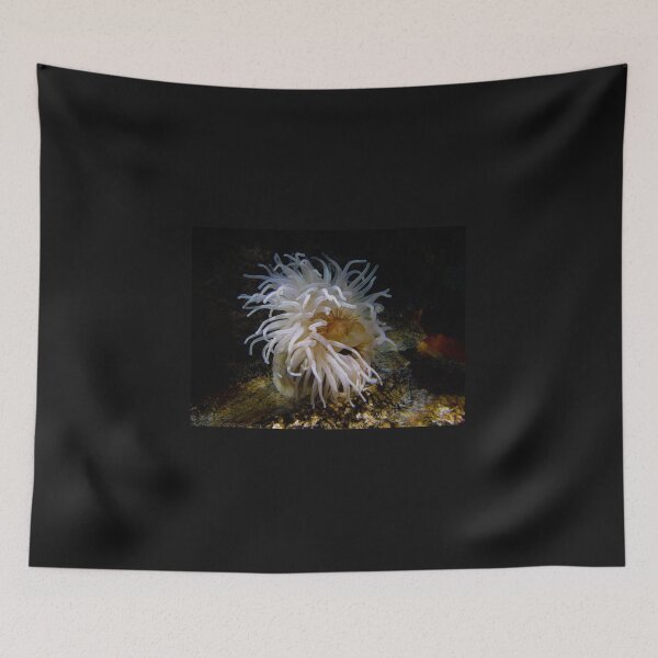 Item preview, anenome designed and sold by bcash.