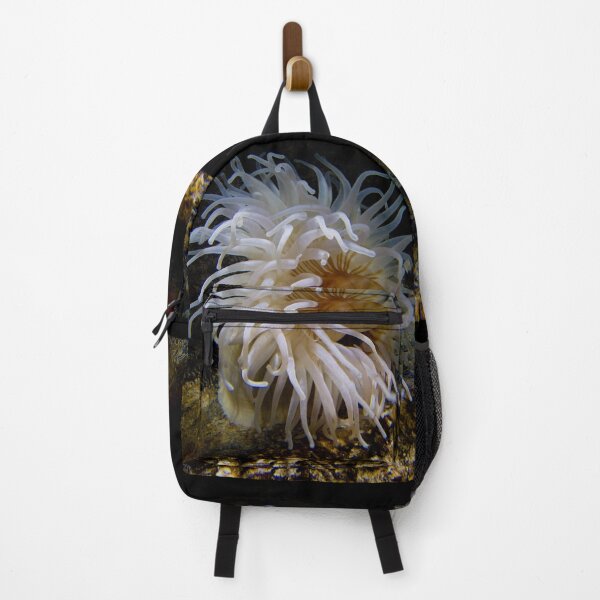 Item preview, anenome designed and sold by bcash.