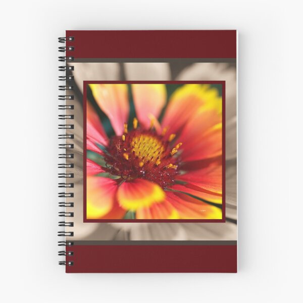 Item preview, Blanket Flower designed and sold by Joy Watson - Natural Light Photography .