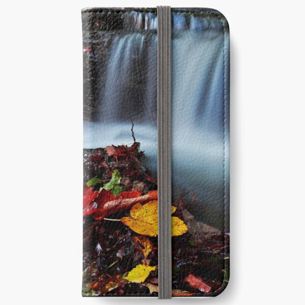 autumn falls iPhone Wallet