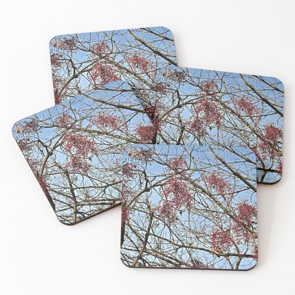 Item preview, California Pepper Trees in Early Winter designed and sold by Martha Sherman.