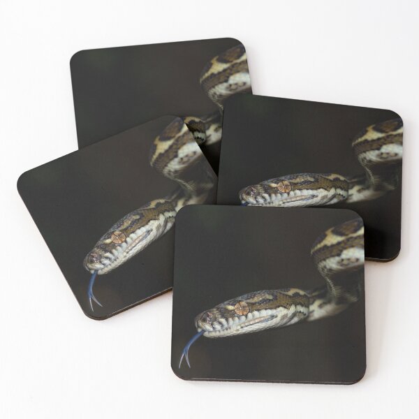 Item preview, Coastal Carpet Python (Morelia spilota mcdowelli) designed and sold by Trent Townsend.