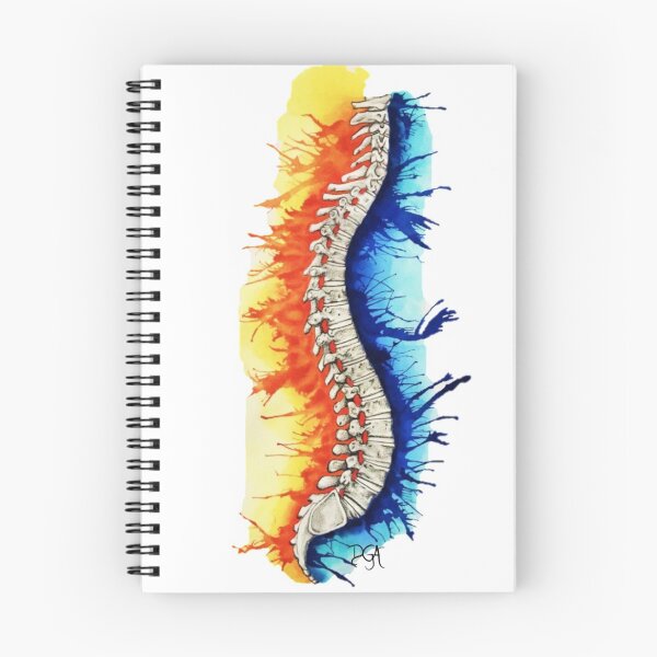 Item preview, Backbone Anatomy designed and sold by DanielaGaleanoA.