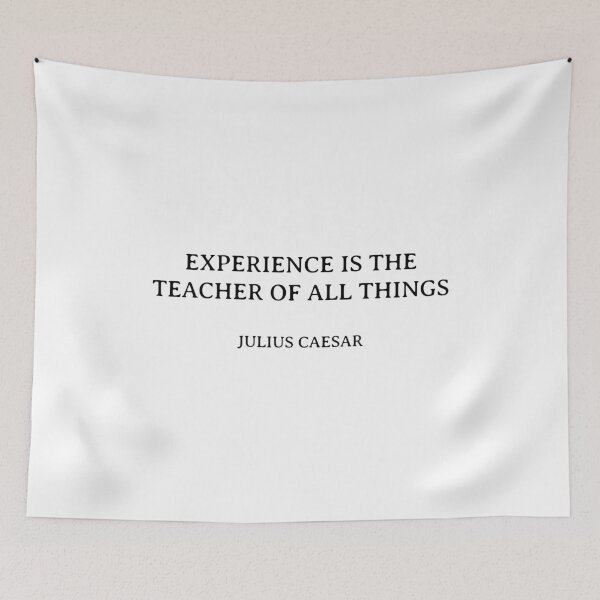 Item preview, Experience is the teacher of all things - Julius Caesar quote designed and sold by Inspirationmotivation.