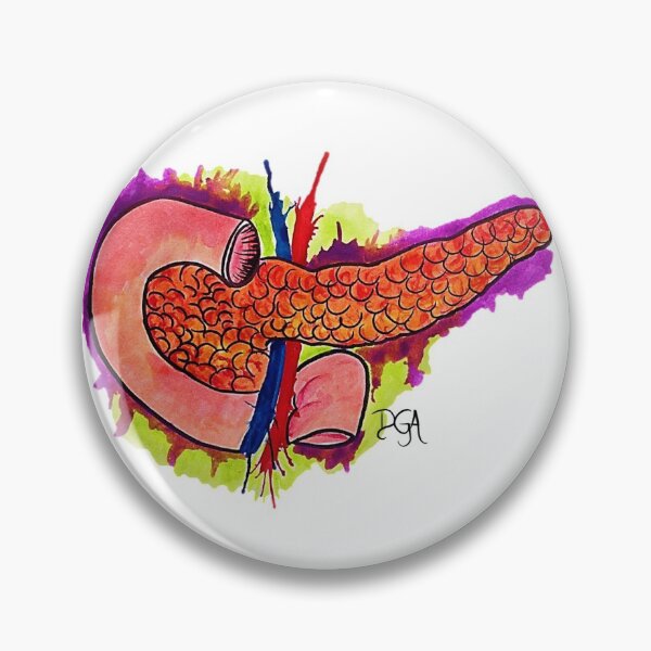 Item preview, Pancreas designed and sold by DanielaGaleanoA.