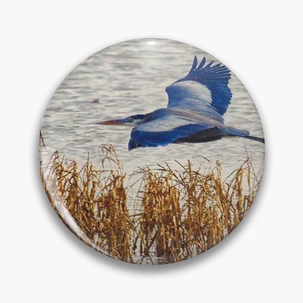 Artikelvorschau, Blue Heron 11X14 entworfen und verkauft von WayneSheridan.