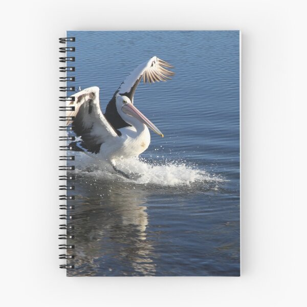 Item preview, Pelican Landing designed and sold by Robyn J. Blackford.