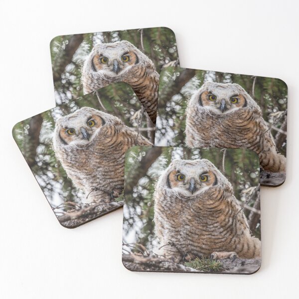 Item preview, Cute Baby Owl Portrait designed and sold by Vargulich.