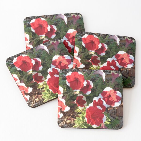 Item preview, Red and White Petunias designed and sold by EFCNEWTON.