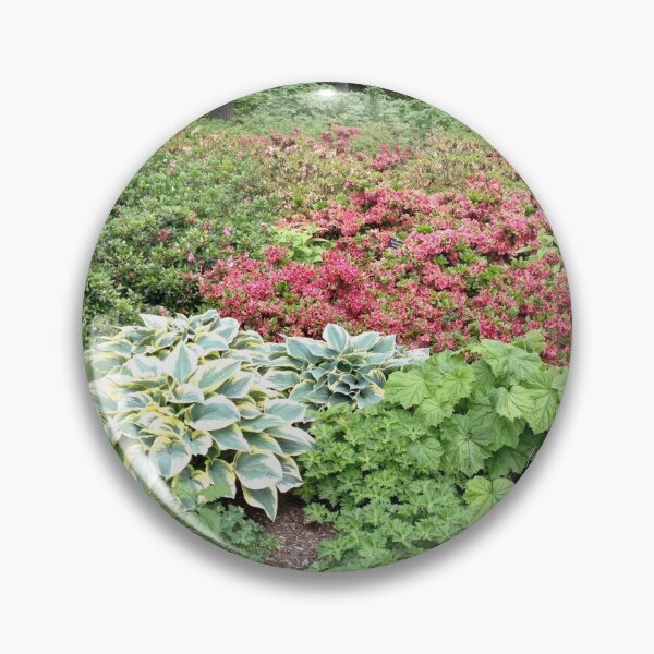 Item preview, Hostas and azaleas in Brooklyn Garden designed and sold by EFCNEWTON.