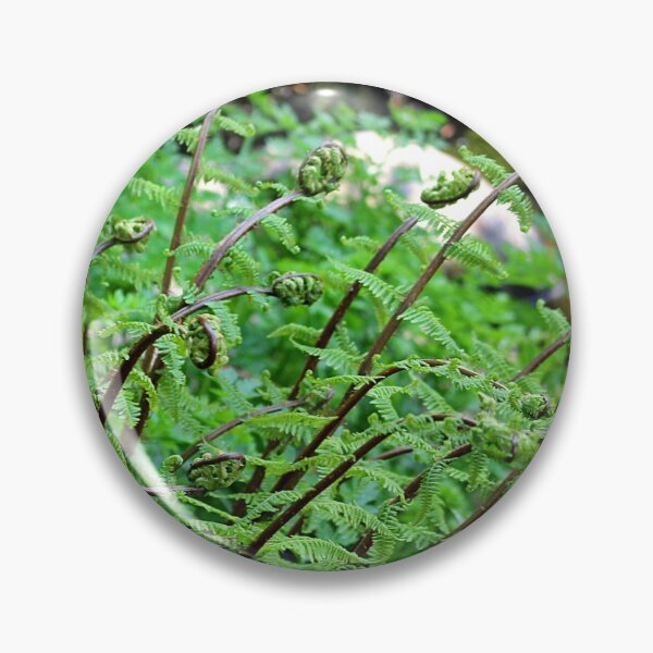 Item preview, Ferns at Badger's Holt designed and sold by Martha Sherman.