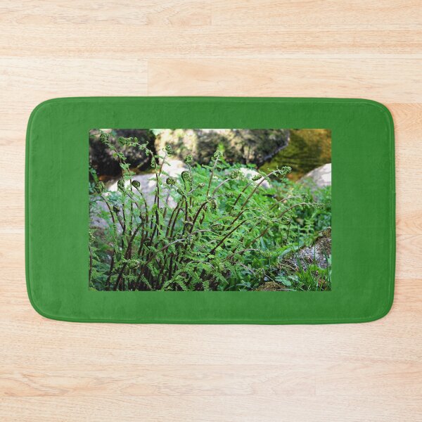 Item preview, Ferns at Badger's Holt designed and sold by Martha Sherman.