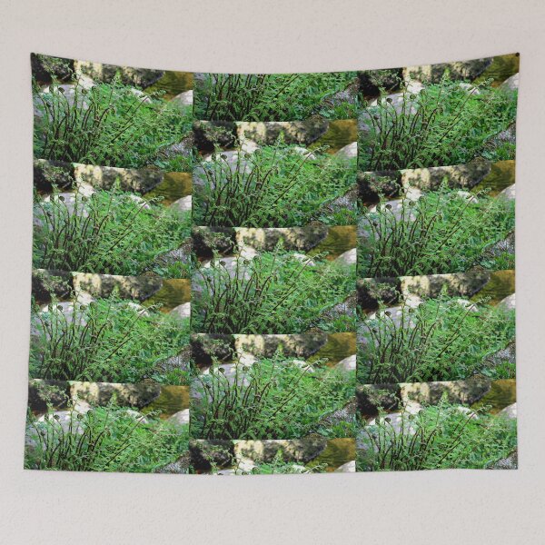 Item preview, Ferns at Badger's Holt designed and sold by Martha Sherman.
