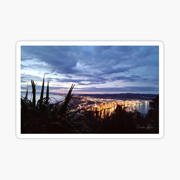 "Tauranga Port Lights" Sticker for Sale by UrsulaHurn Redbubble