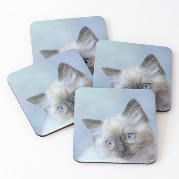 Item preview, Ragdoll Kitten designed and sold by Elisabeth Lucas.