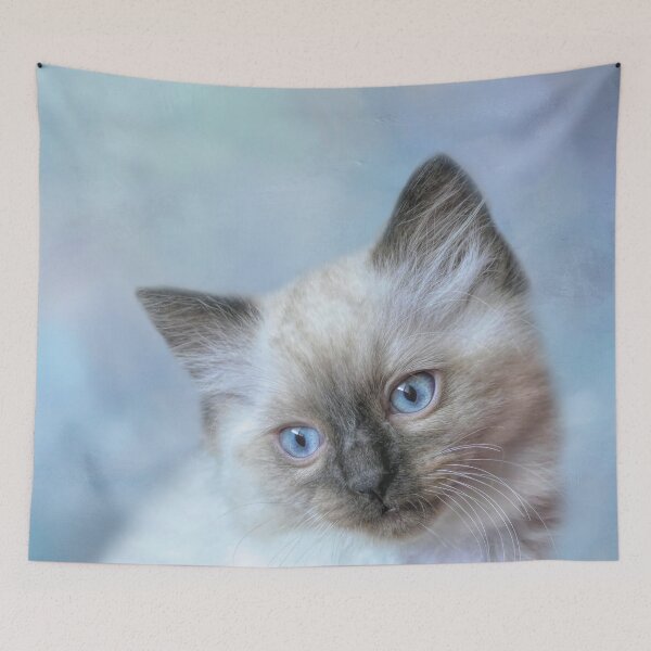 Item preview, Ragdoll Kitten designed and sold by Elisabeth Lucas.