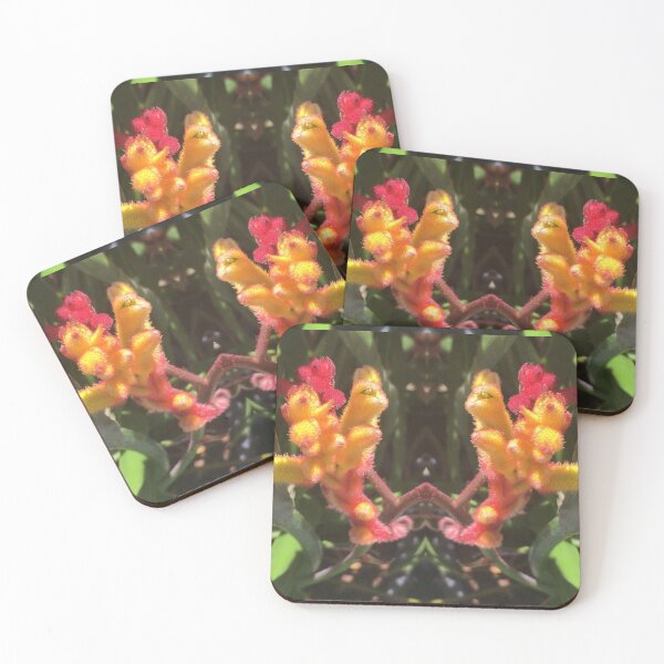 Item preview, Duet of Dancing Kangaroo Paws, Criterion Street, Hobart/nipaluna - Vivid Pink, Emerald and Orange designed and sold by RoseAromas.