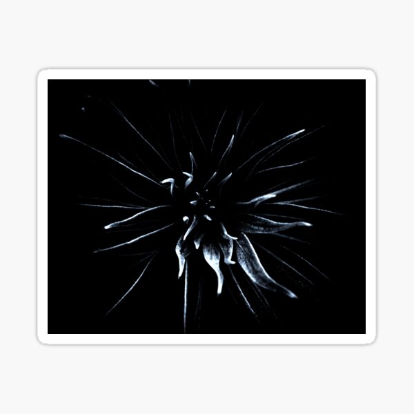 Air Plant Abstraction Sticker
