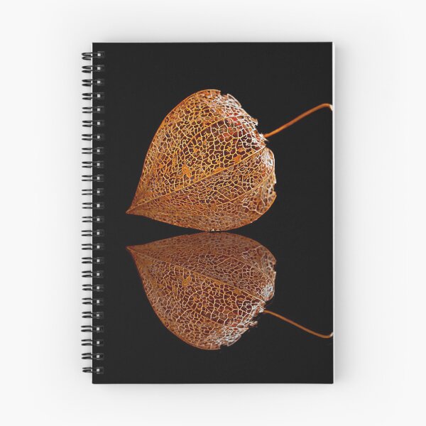 Item preview, Physalis Reflection  designed and sold by Alisonchambers2.