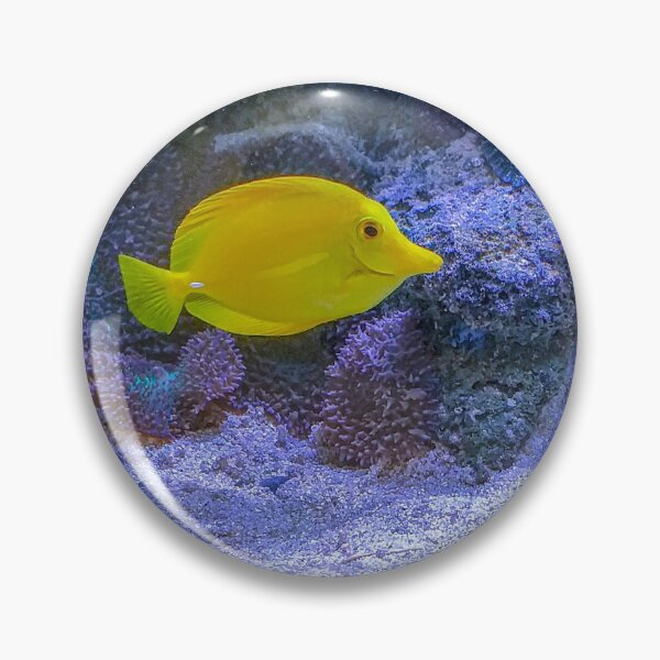Item preview, Contrasting Aquarium Pals designed and sold by Steven Jodoin.