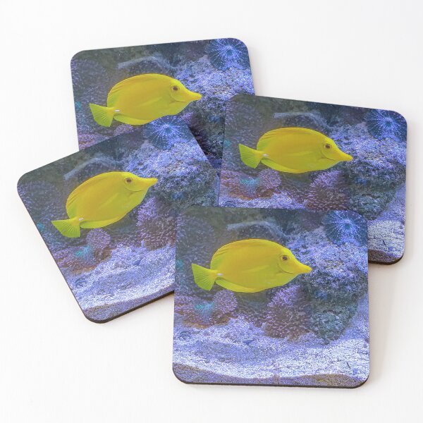 Item preview, Contrasting Aquarium Pals designed and sold by Steven Jodoin.
