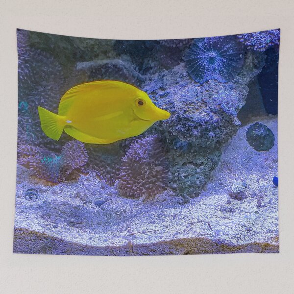 Item preview, Contrasting Aquarium Pals designed and sold by Steven Jodoin.